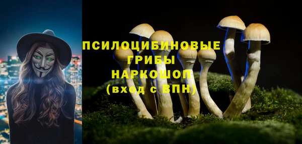 гашик Армянск