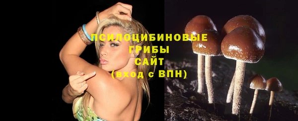 спиды Арсеньев